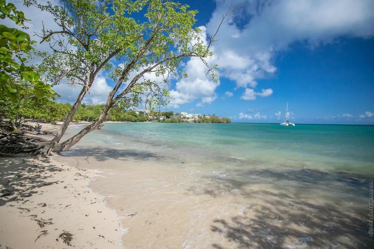 Holiday home Bungalow Ti Banane Sainte-Luce